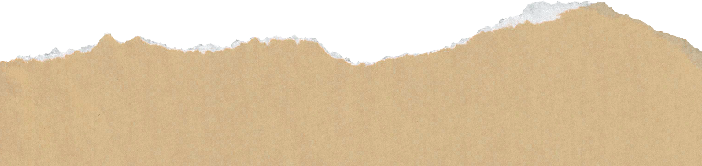 Baroque Facade Detail